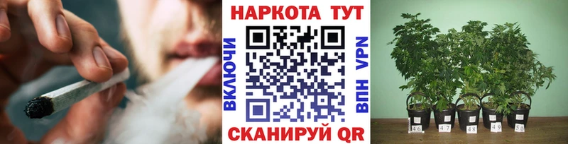 Купить наркотики сайты Новороссийск Каннабис Кокаин Alpha PVP Меф