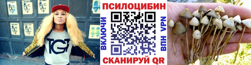 Галлюциногенные грибы мухоморы Новороссийск