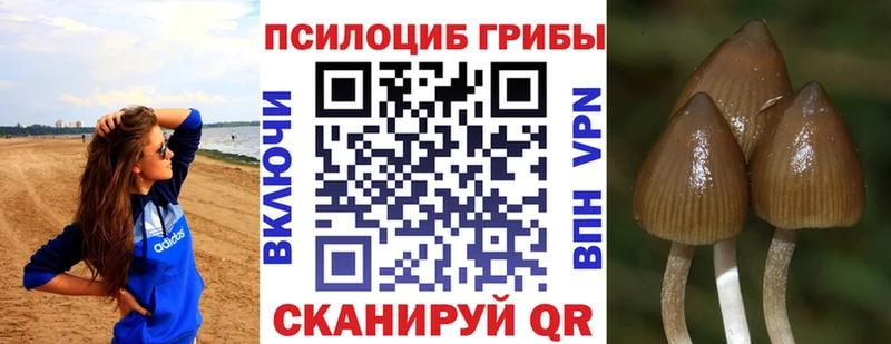 ссылка на мегу зеркало  даркнет Telegram  Псилоцибиновые грибы MAGIC MUSHROOMS  Новороссийск 